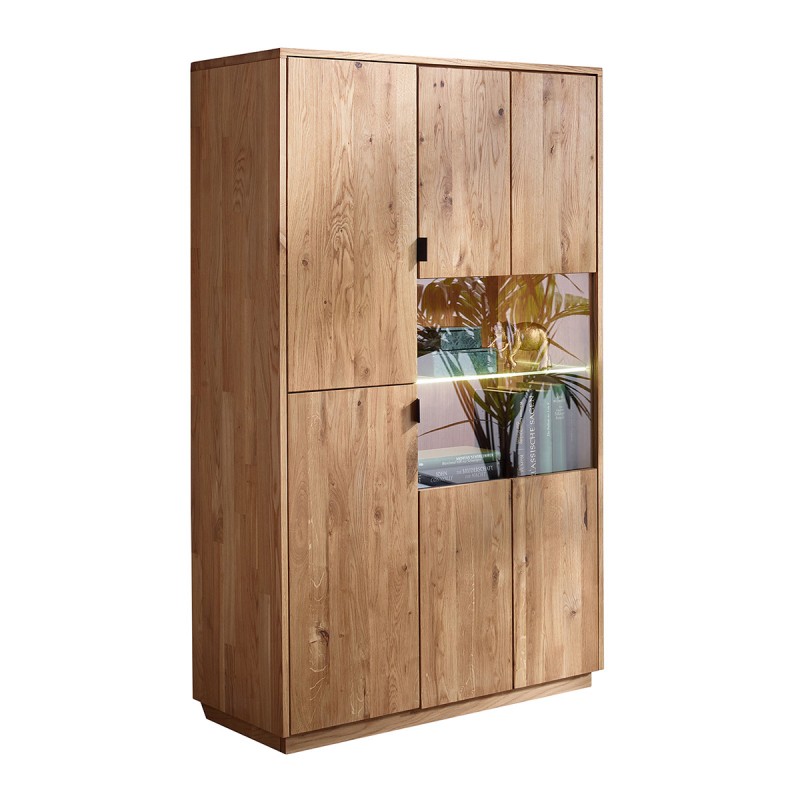 Vitrína z masivu Montana 401